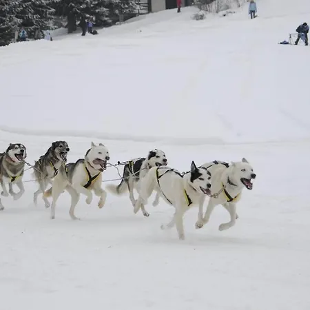 Lägenhet Donovaly, Panorama